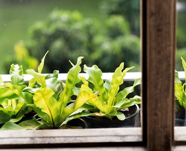 Ekologiczne okna – czy okna PVC mogą być przyjazne dla środowiska?